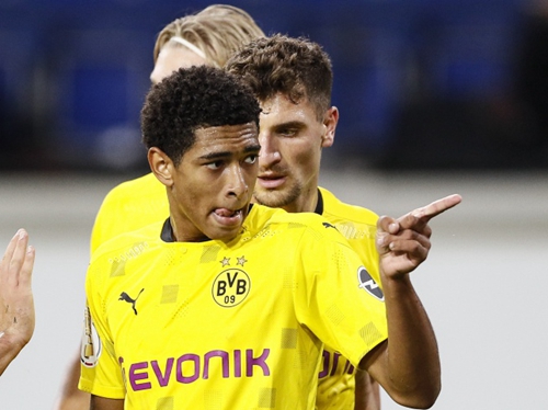 业内专家建 业内专家建