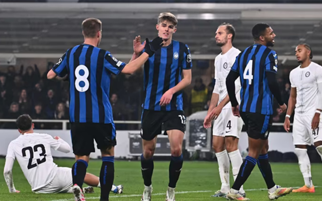 党组织可以 党组织可以