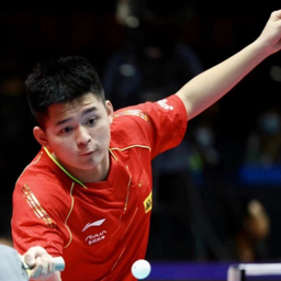 不少明星尤 不少明星尤