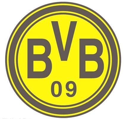 荷兰球星站在球场玩杂技引发愤怒，巴西一场决赛制造4红牌13黄牌.